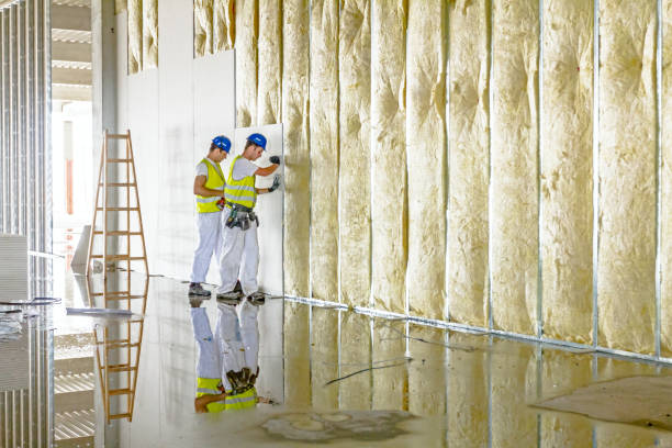 Best Insulation Maintenance and Repair in Garrison, TX